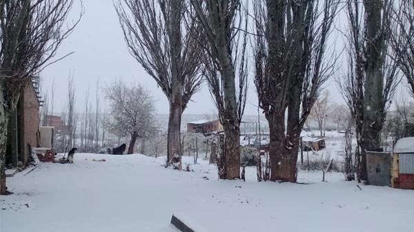 Lluvias y nieve en el Sur, se recomienda máxima precaución