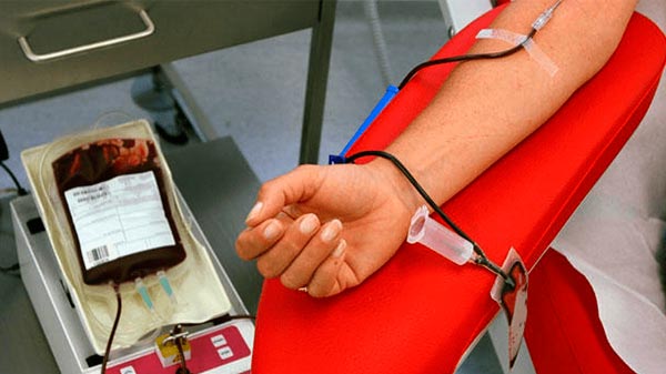 Día Nacional del Donante Voluntario de Sangre