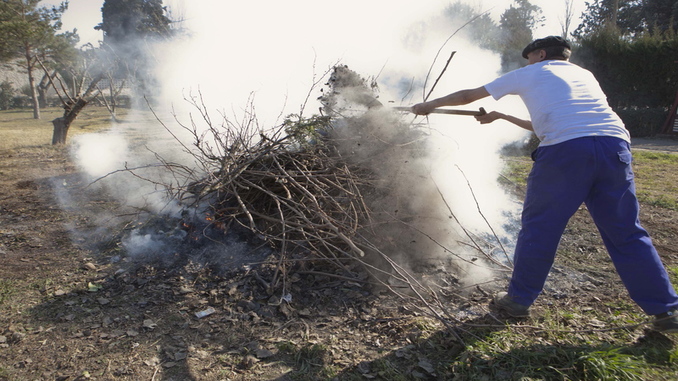 Por ley está prohibido limpiar terrenos con fuego