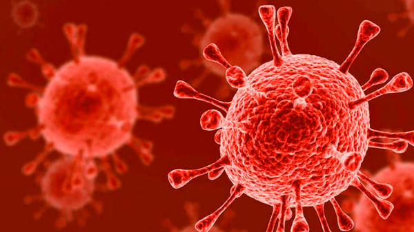 Avance científico: eliminaron el HIV del genoma de animales vivos