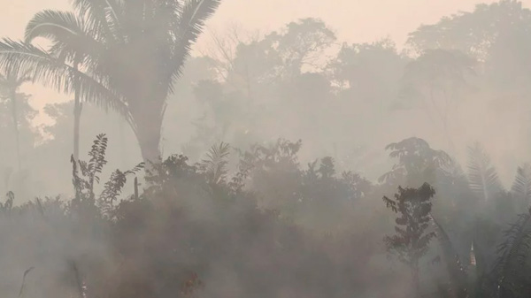 Incendios en el Amazonas: el humo podría llegar hasta Buenos Aires