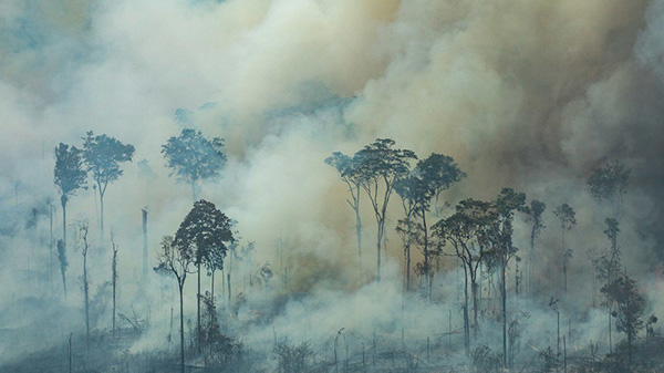 Incendio en el Amazonas: el festejo del “día del fuego”, un grupo de Whatsapp y una curiosa investigación oficial