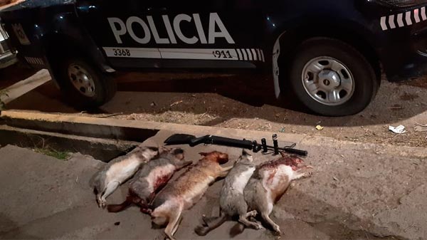 Cuatro personas detenidas por cazar vizcachas
