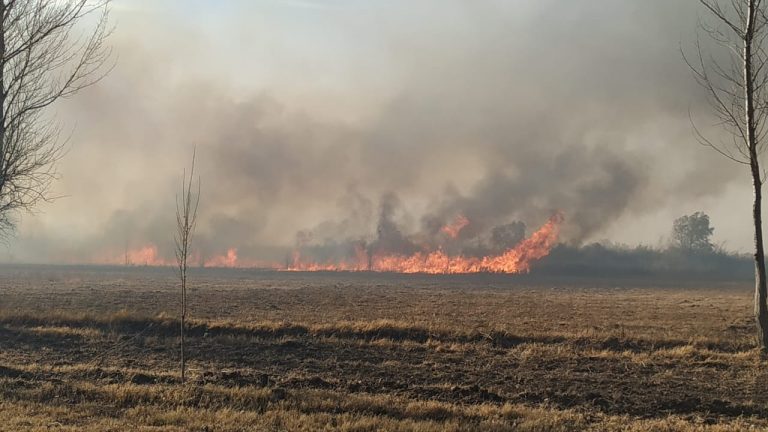 Aconsejan no hacer fuego en ningún espacio público