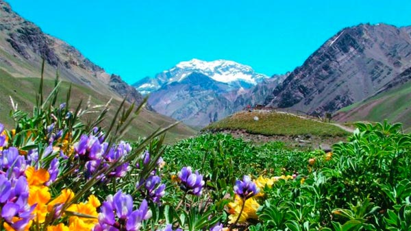 Todos hablan de Mendoza gracias a diversos emprendimientos mendocinos premiados en el mundo