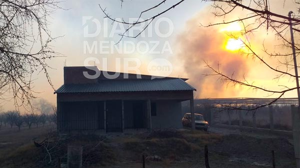 Peligran viviendas por el incendio de malezas en Salto de las Rosas