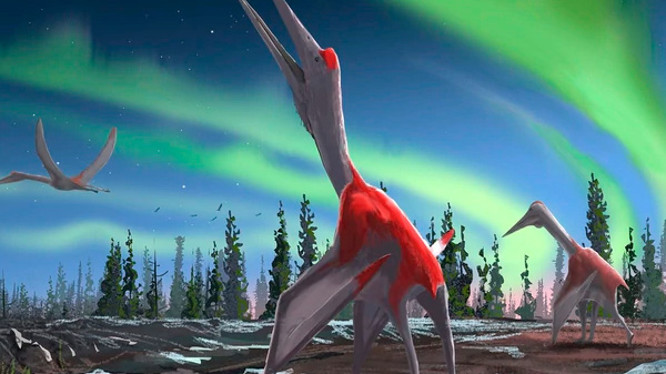 «Un dragón congelado del norte»: descubrieron un nuevo dinosaurio volador que habitó Norteamérica hace 77 millones de años