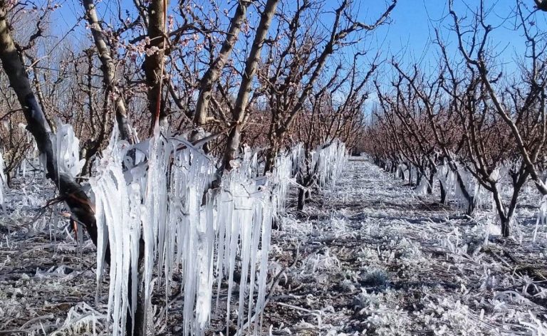 Por las fuertes heladas llegan autoridades provinciales a San Rafael