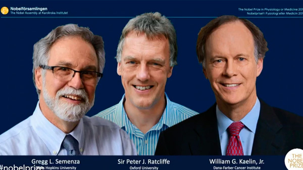 El premio Nobel de Medicina 2019 fue otorgado a William Kaelin, Gregg Semenza y Sir Peter Ratcliffe