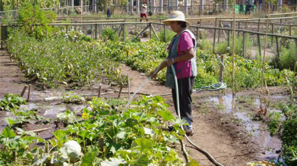 San Rafael lleva adelante su plan de emergencia alimentaria