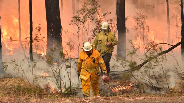 Incendios en Australia: cuando la crisis climática destruye tu hogar
