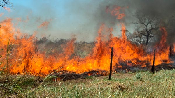 Multas de más de 2 millones de pesos para los que ocasionen incendios de campos