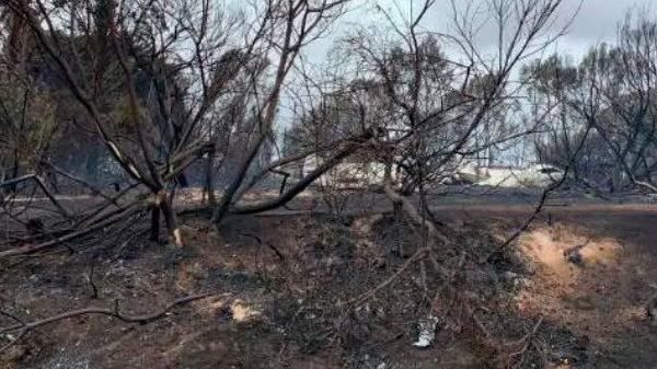 Las lluvias trajeron alivio a una Australia prendida fuego