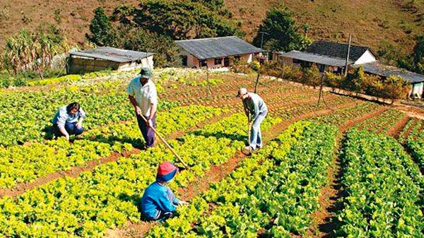 Sostienen que el agro será un eje central del gobierno de Suárez