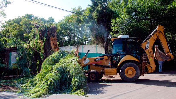 Alvear: por decreto declararon emergencia social y ambiental en San Pedro del Atuel