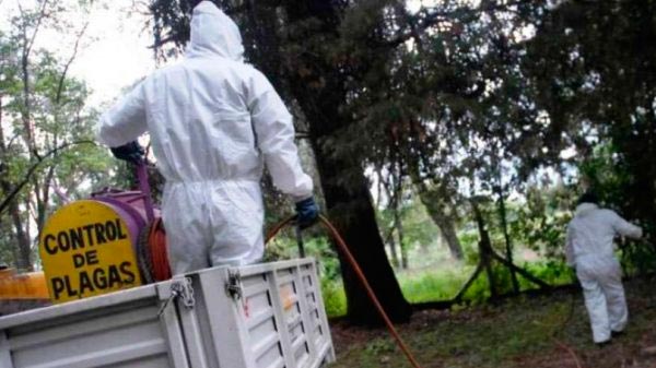 Salud se prepara para enfrentar al dengue en la próxima temporada
