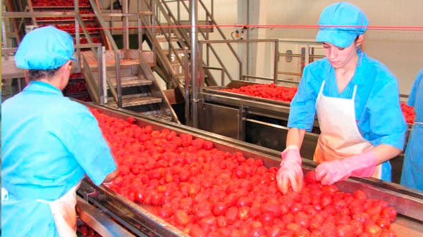 El próximo jueves presentarán un estudio sobre el consumo del tomate industrializado