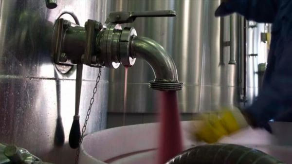 Exportaciones: 2019 fue un buen año para la vitivinicultura mendocina