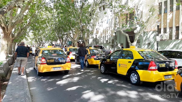 Taxistas piden ayuda económica ante la merma en el uso del servicio por el COVID-19