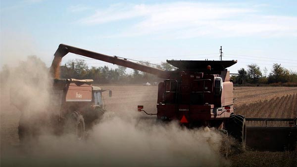 Vuelven a recortar la estimación de cosecha de soja: cayó 2,5 millones de toneladas