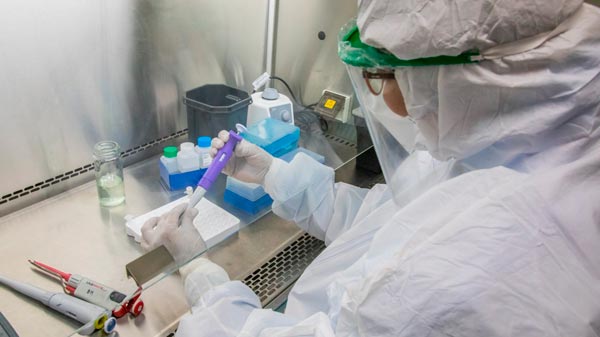 Ocho pacientes recuperados y dos nuevos casos de Coronavirus en la provincia