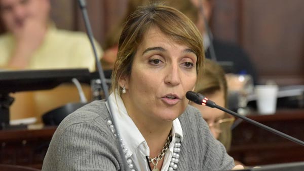 Legislatura mendocina: buscan que quienes sean abogados deban suspender su matrícula en determinadas circunstancias