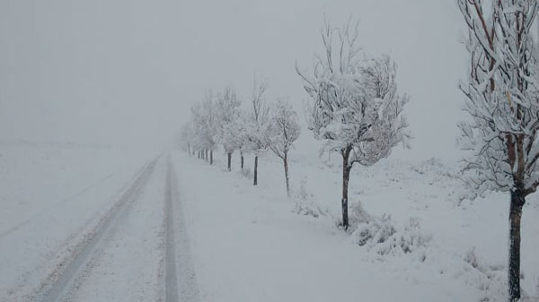 Estado de rutas: 143 intransitable por acumulación de nieve