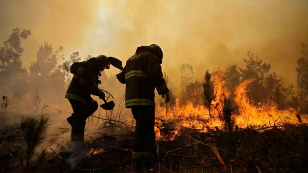 Aseguran que los incendios forestales “se deben principalmente a causas humanas”