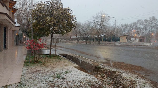 El ingeniero Besa dijo que hemos tenido el invierno más frío de los últimos 10 años