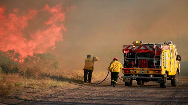 Más de 1 millón de pesos en multas por incendios forestales
