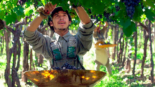 Presentaron un proyecto para que los trabajadores golondrinas puedan llegar a Mendoza