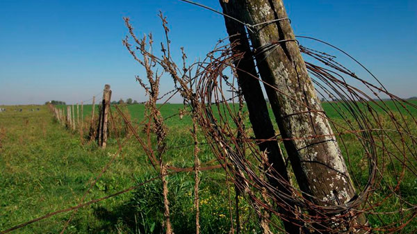 Cuadro Nacional: volvieron a robar alambre de una finca