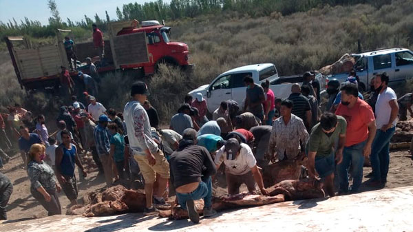 Imputarán a las personas que participaron del saqueo al camión