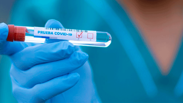 Sur provincial: se registraron 18 nuevos casos de Coronavirus, 16 recuperados y 2 fallecidos.