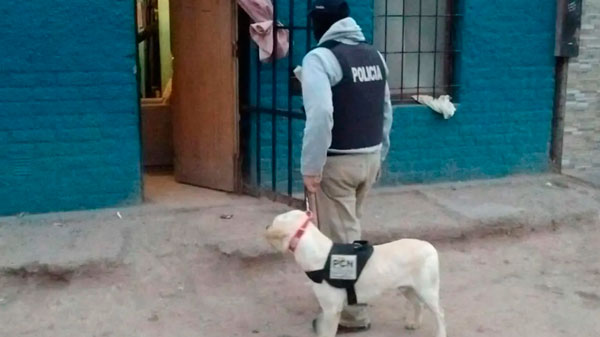 La Nora: con la ayuda de los canes, la Policía esclareció un robo