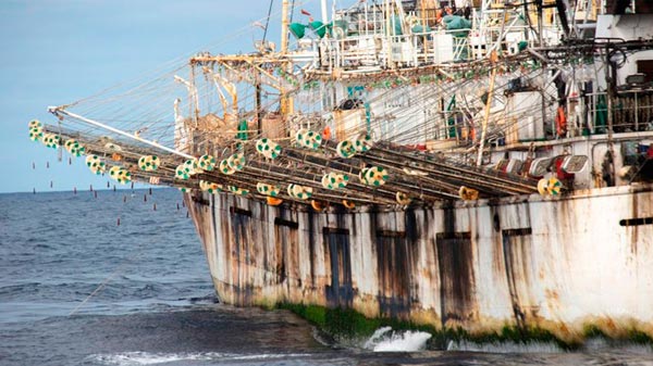 La marina de Chile vigila de cerca a 11 pesqueros chinos que entraron en la Zona Económica Exclusiva del país