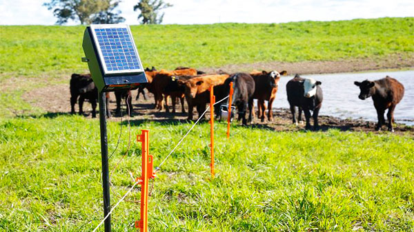 Adhieren al programa de boyeros con energía solar