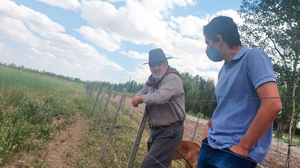 Proponen declarar la emergencia agropecuaria en oasis productivos de Mendoza