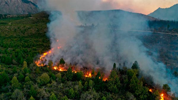 “Nunca vimos algo así”: el incendio en El Bolsón continúa fuera de control y ya arrasó 6.500 hectáreas