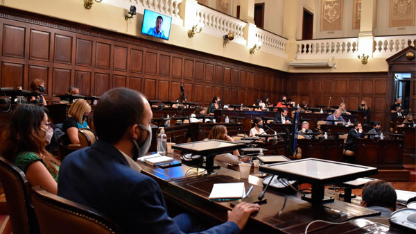 Semana clave por la reforma de la constitución de Mendoza