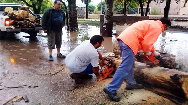 Secuelas de la tormenta: son más de 300 las familias afectadas