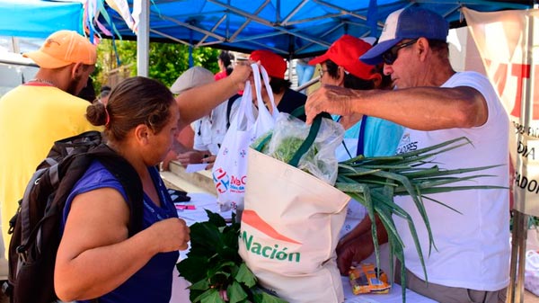 Tarjeta Alimentar: cómo es el cronograma para cobrar el subsidio en febrero