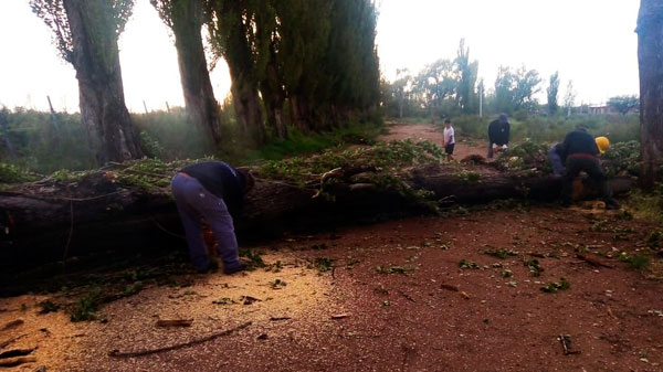 Asistencia del Municipio tras la tormenta en Las Malvinas y Cañada Seca