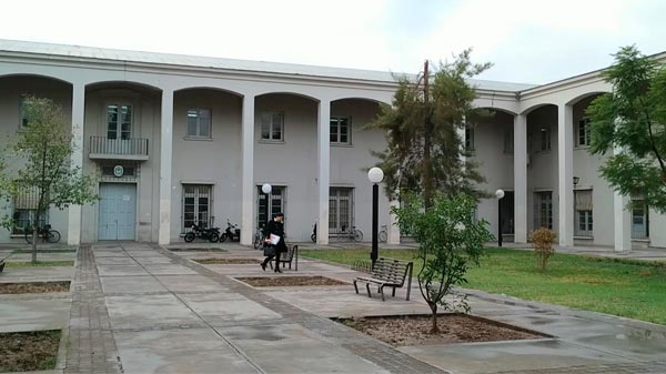 Día de la Memoria: se plantarán árboles en el Museo Militar, Plaza de la Memoria y Tribunales