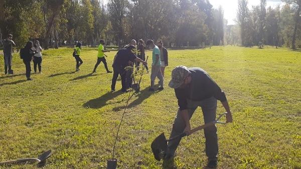 Brigada Ecológica: el Parque Mariano Moreno tiene nuevos árboles