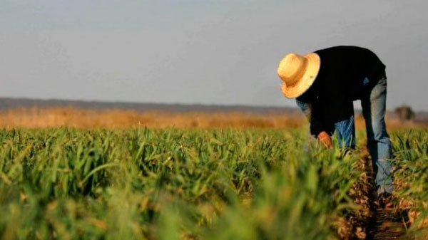 Hay tiempo hasta el 30 de abril para formar parte del programa IDR Incuba 202