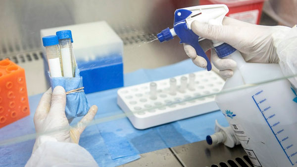 La OMS cambiará el nombre de las variantes de coronavirus para «no estigmatizar» a países