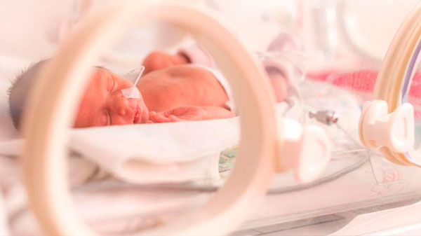 Piden informe sobre los nacimientos prematuros ocurridos en Mendoza durante los últimos años