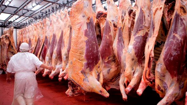 El Gobierno suspendió por 30 días las exportaciones de carne vacuna