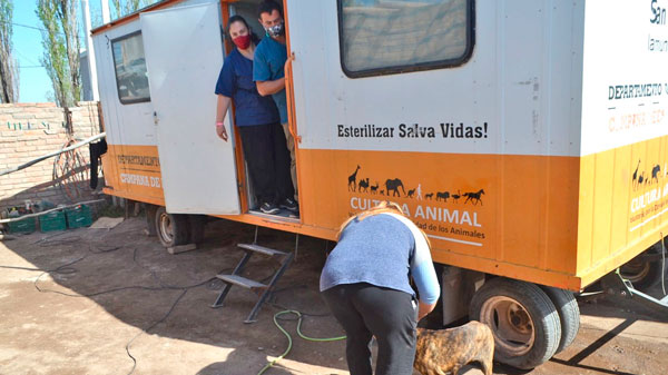 Se reanudó el programa de castración canina y vacunación antirrábica